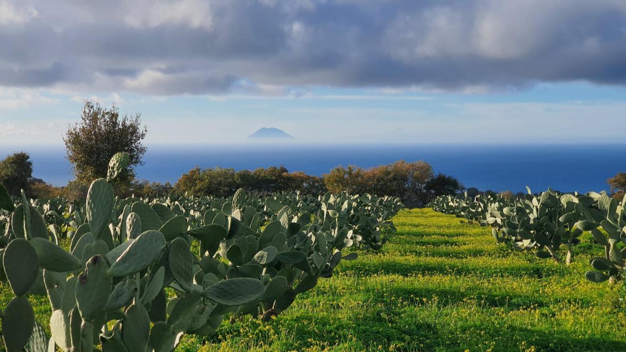 Villa Maria Elena Charme B&B Capo Vaticano Exteriör bild